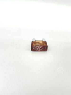IMG 0973