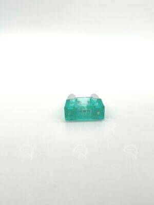 IMG 0975