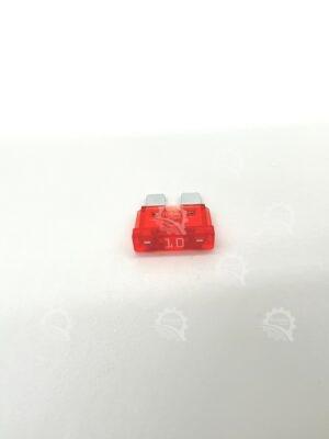 IMG 0977