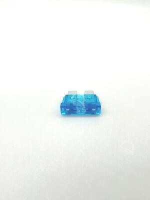 IMG 0979