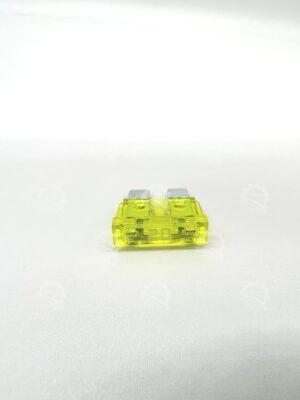 IMG 0981
