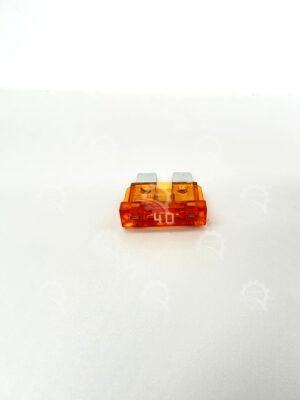IMG 0988
